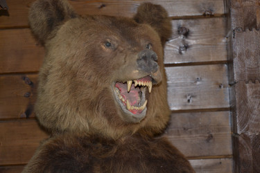 Similar image 1916994