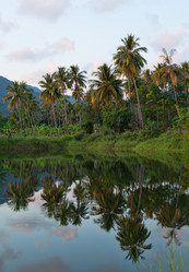 Similar image 1917022