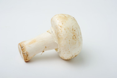 Similar image 1917243