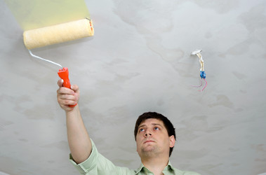 Similar image 1917325