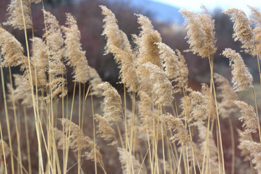 Similar image 1925461