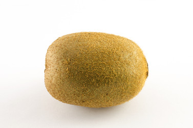 Similar image 1925583