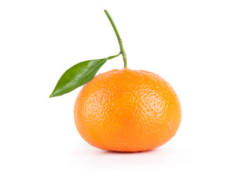 Similar image 1925755