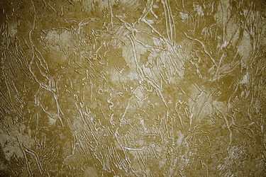 Similar image 1925856