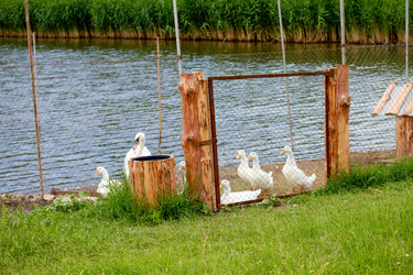 Similar image 1926496