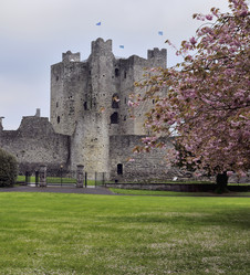 Similar image 1926589