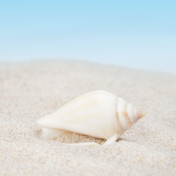 Similar image 1926790