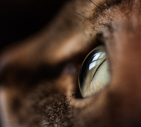 Similar image 1926918