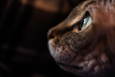 Similar image 1926920