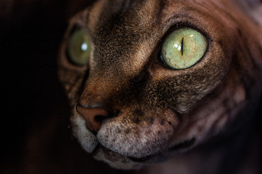 Similar image 1926925