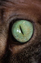 Similar image 1926933