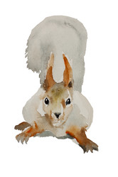 Similar image 1927038