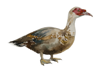 Similar image 1927048