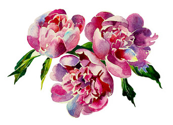 Similar image 1927051