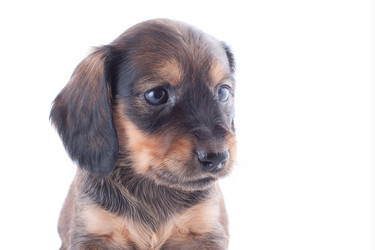 Similar image 1927121