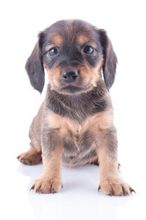 Similar image 1927123