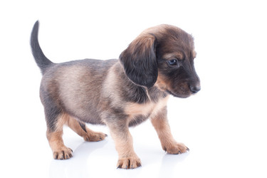 Similar image 1927124