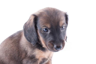 Similar image 1927125