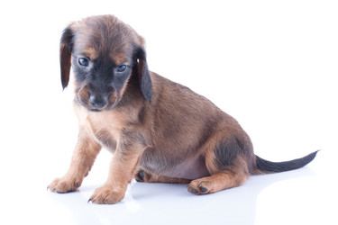 Similar image 1927128