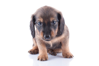 Similar image 1927130