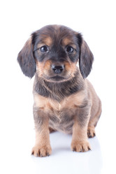 Similar image 1927132