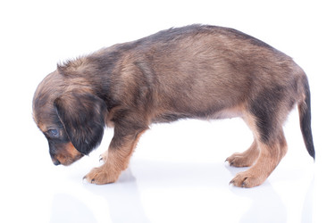 Similar image 1927143