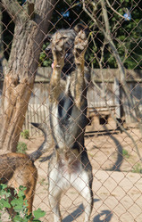 Similar image 1927199