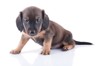 Similar image 1927216