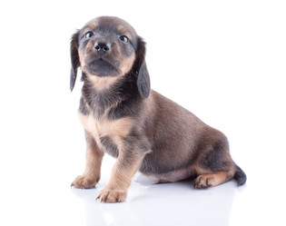 Similar image 1927217