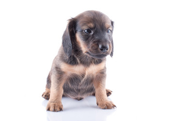 Similar image 1927218