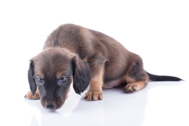 Similar image 1927221