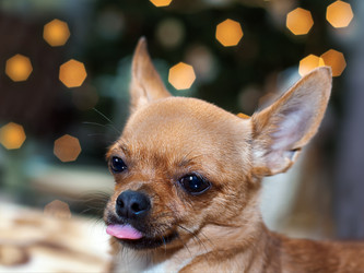 Similar image 1927285