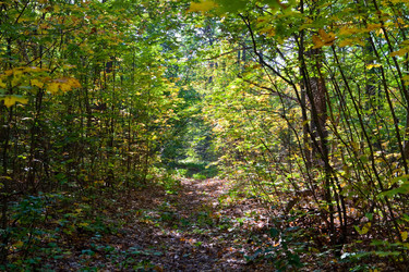 Similar image 1927440