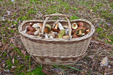 Similar image 1927454