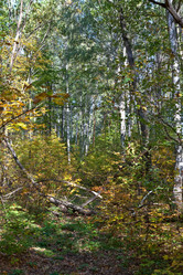 Similar image 1927459