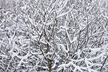 Similar image 1927484