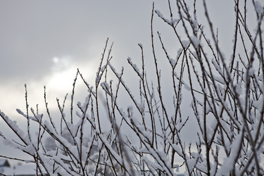 Similar image 1927485