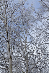 Similar image 1927488