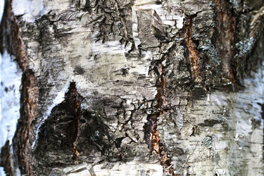 Similar image 1927531