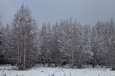 Similar image 1927535