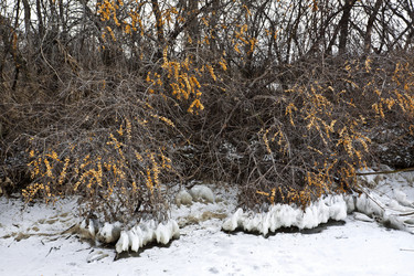 Similar image 1927614