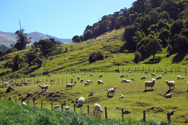 Similar image 1927765