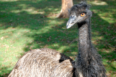 Similar image 1927861