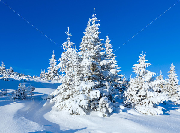 Фотография на тему Утренний зимний горный пейзаж | PressFoto