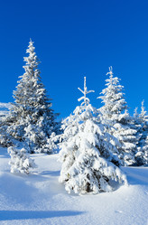 Similar image 1928315