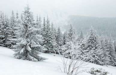 Similar image 1928593