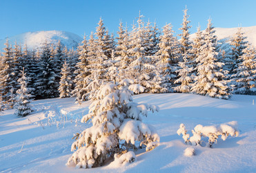 Similar image 1928612