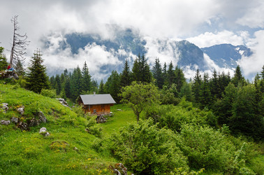 Similar image 1928642