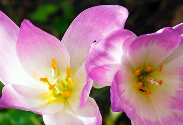 Similar image 1928671