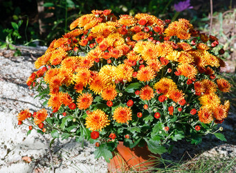 Similar image 1928673